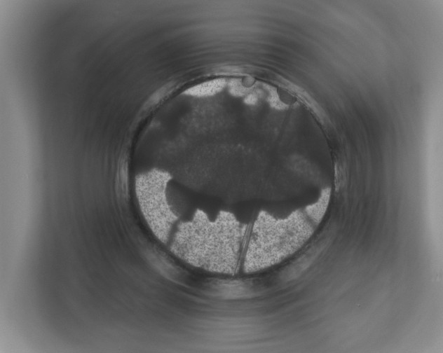 X0000111420349200908241136