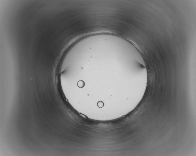 X0000111420350200908241136