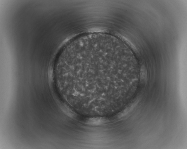 X0000111420351200908241136