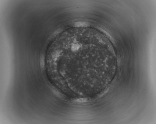 X0000111420353200908241136