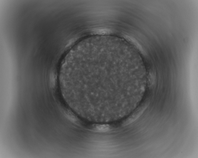X0000111420355200908241136