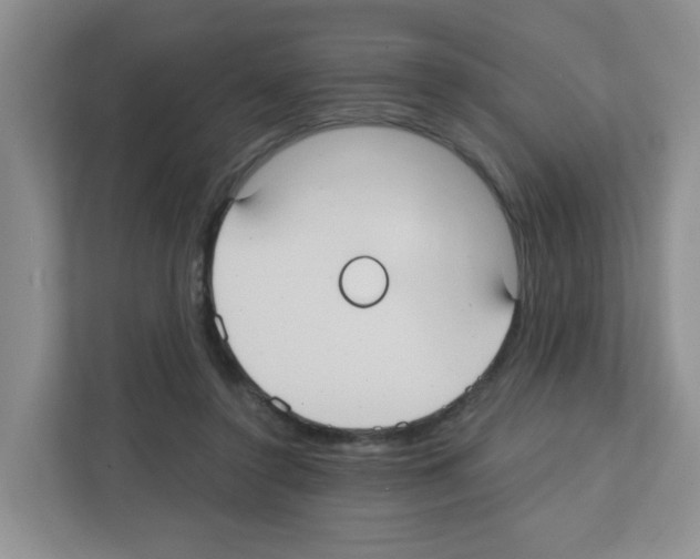 X0000111420356200908241136