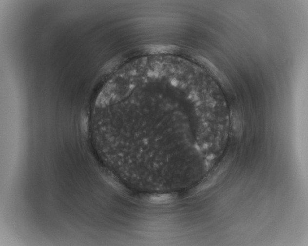 X0000111420357200908241136