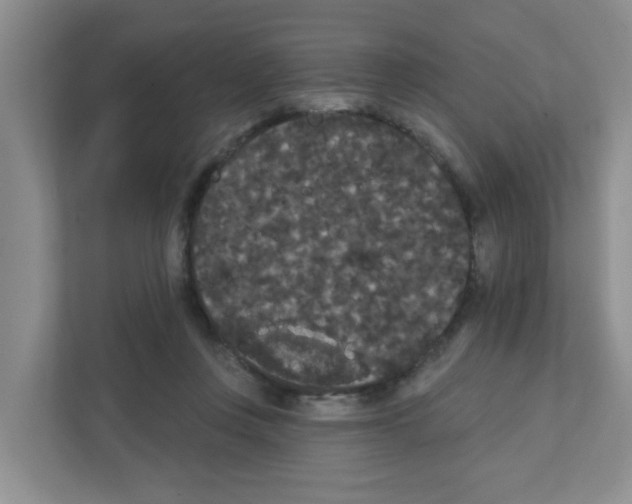 X0000111420359200908241136