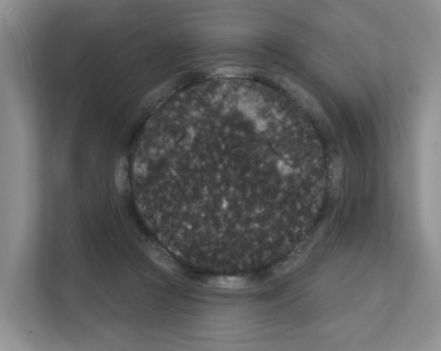 X0000111420361200908241136