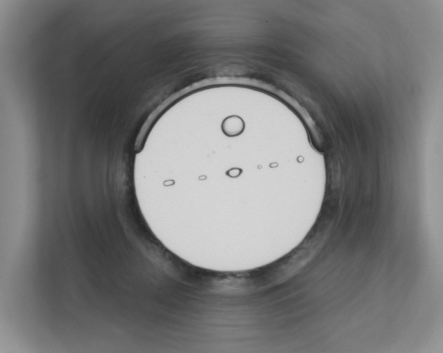 X0000111420362200908241136