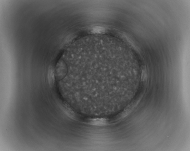 X0000111420363200908241137