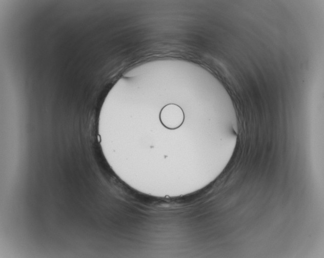 X0000111420364200908241137