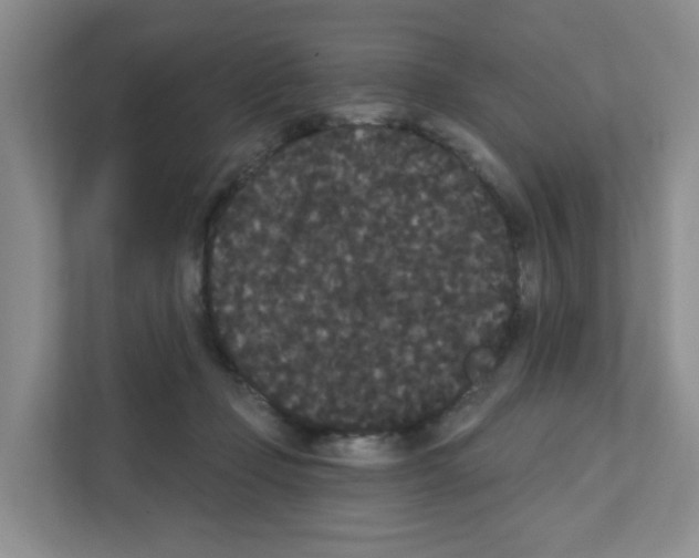 X0000111420365200908241137