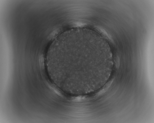 X0000111420366200908241137