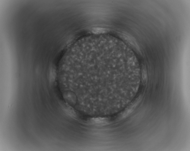 X0000111420367200908241137