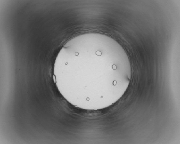 X0000111420368200908241137