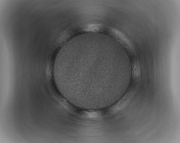 X0000111420370200908241137