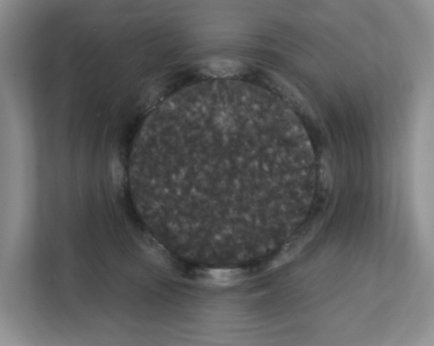 X0000111420371200908241137