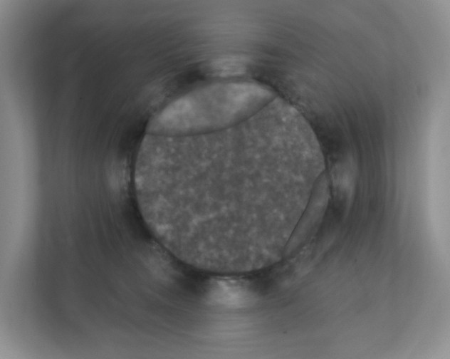 X0000111420372200908241137