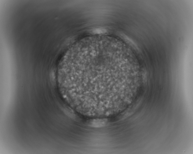 X0000111420373200908241137