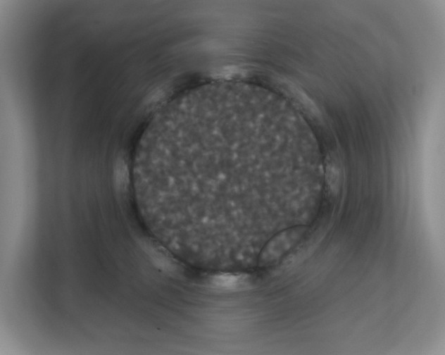 X0000111420375200908241137