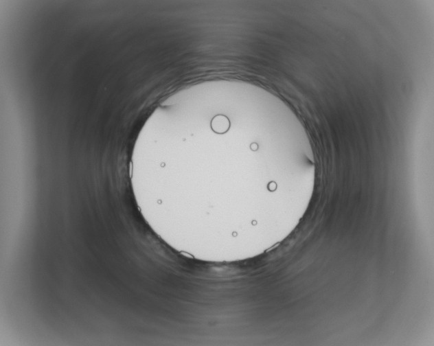 X0000111420376200908241137