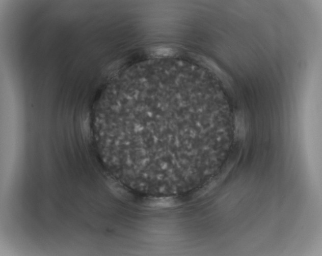 X0000111420377200908241137