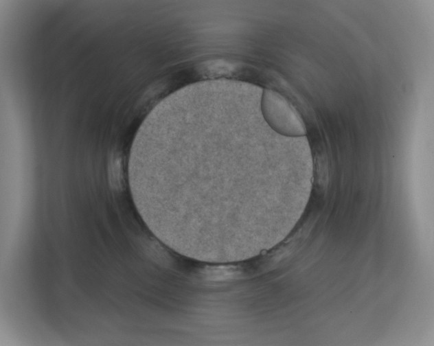 X0000111420378200908241137