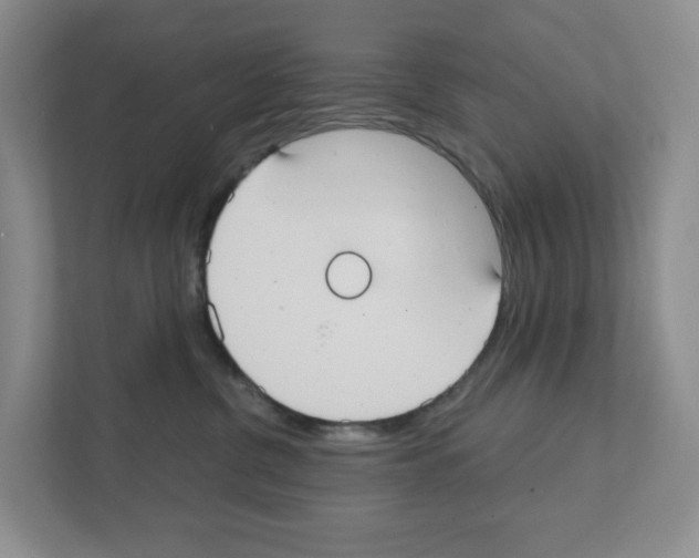 X0000111420380200908241137