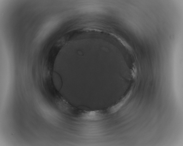 X0000111420382200908241137