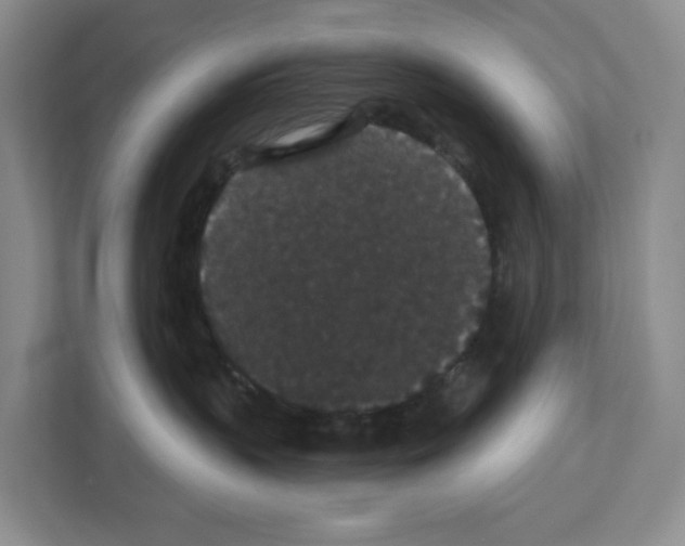 X0000111420383200908241137