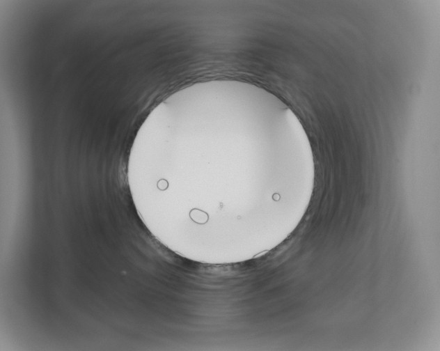 X0000111420384200908241137