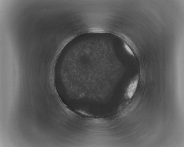 X0000111420385200908241136