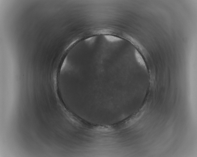 X0000111420386200908241136