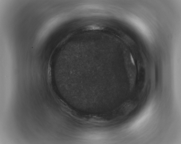 X0000111420387200908241136
