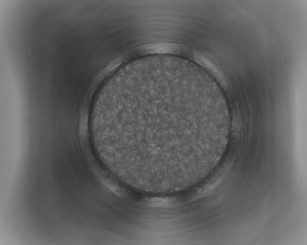 X0000111420394200908241136