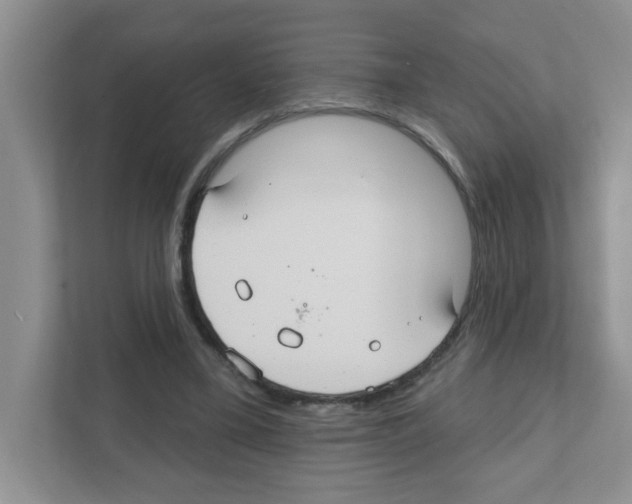 X0000111420395200908241136