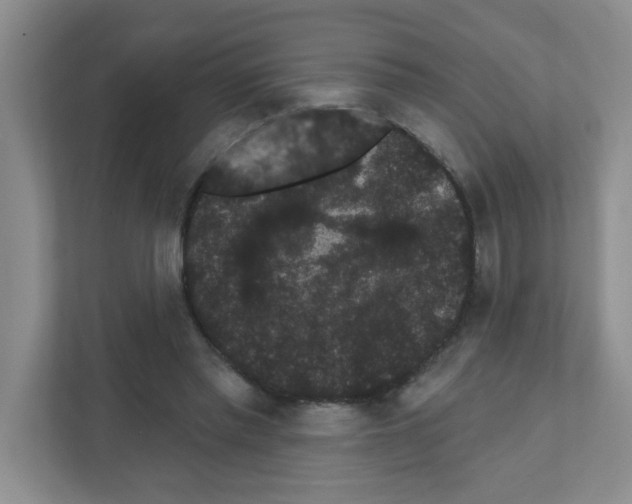 X0000111420397200908241136