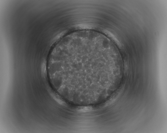 X0000111420398200908241136