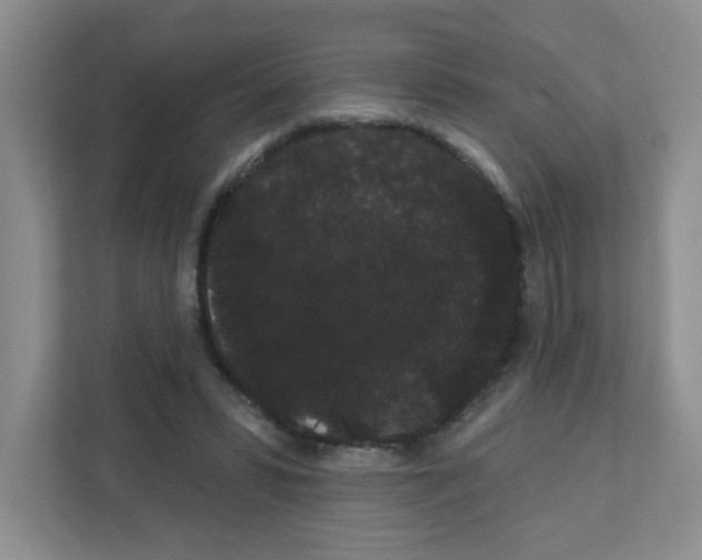 X0000111420399200908241136