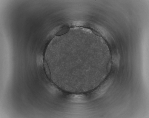 X0000111420401200908241136