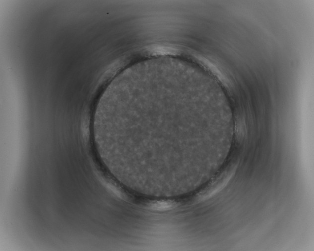 X0000111420402200908241136