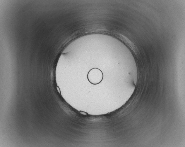 X0000111420405200908241136