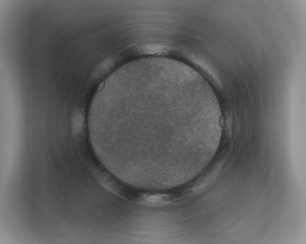X0000111420407200908241136