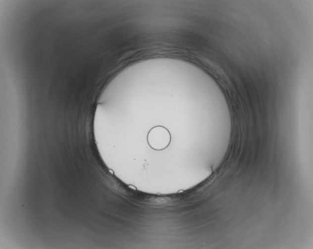 X0000111420409200908241136