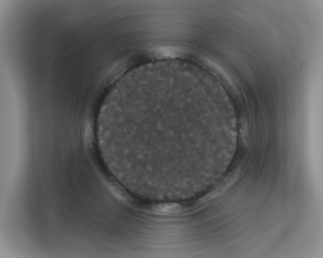 X0000111420410200908241136