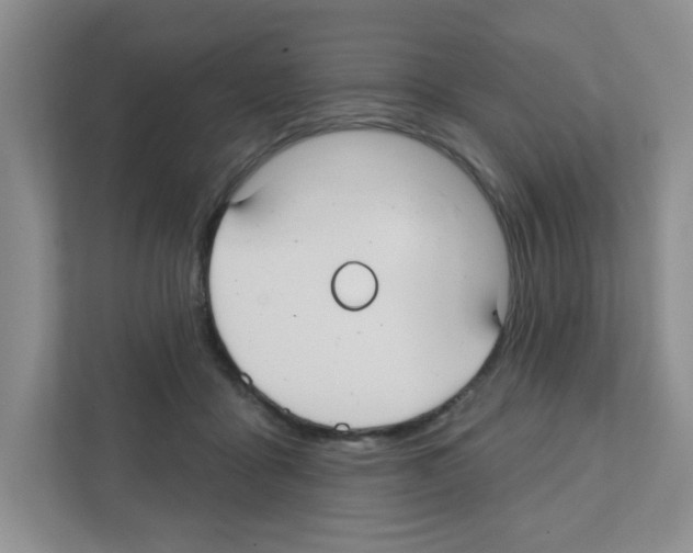 X0000111420411200908241136