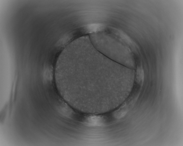 X0000111420413200908241136