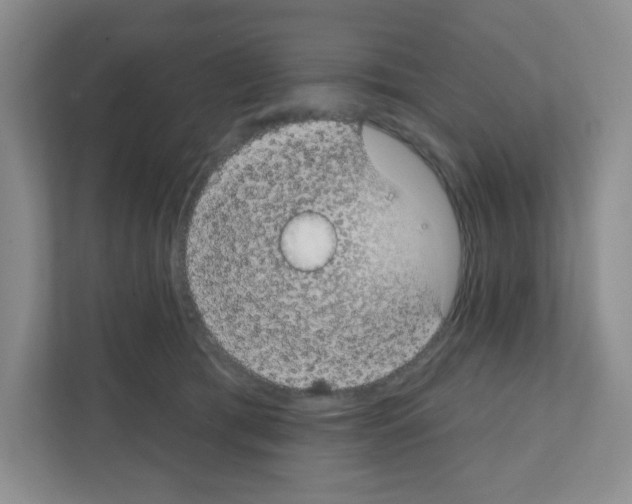 X0000111420417200908241136