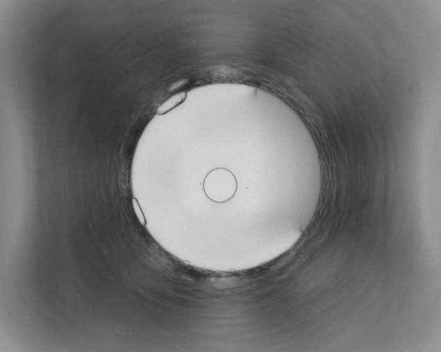 X0000111420419200908241136