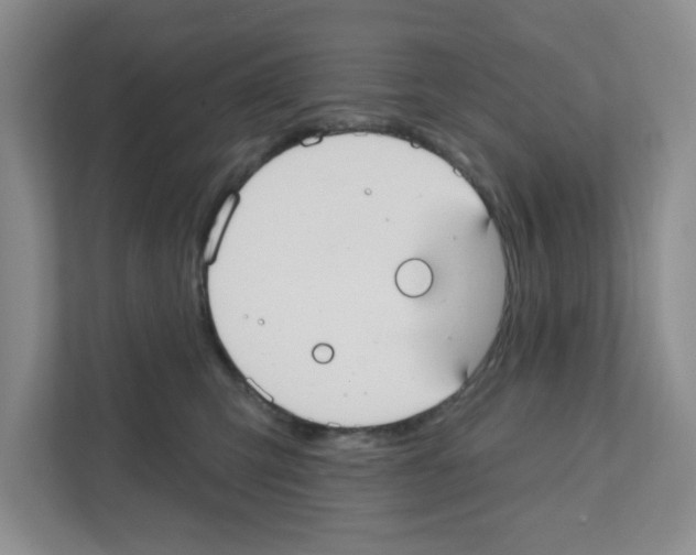 X0000111420423200908241136