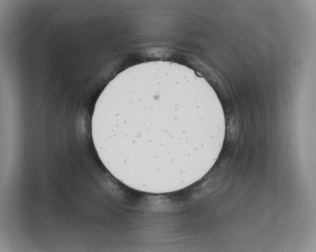 X0000111420424200908241136