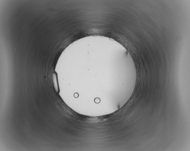 X0000111420425200908241136