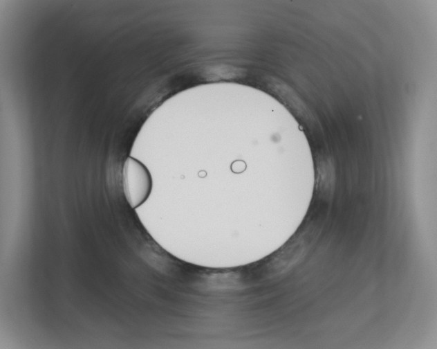 X0000111420426200908241136